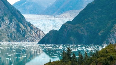 Why Take a Cruise to Alaska