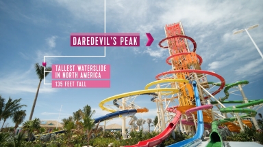 Perfect Day at CocoCay Vinfolapse