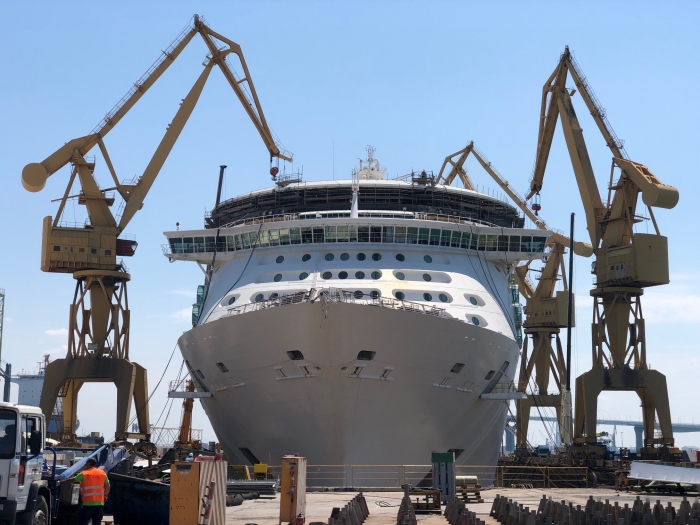 Freedom Of The Seas Dry Dock Plans