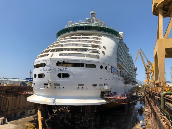 Freedom Of The Seas Dry Dock 2020 Cruise Gallery