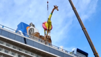 Meet Gigi the Giraffe on Anthem of the Seas