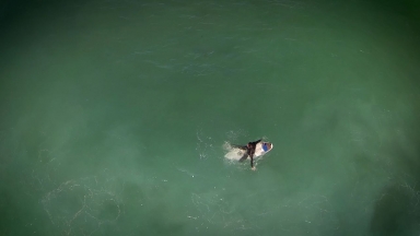 A Commitment to Oceans