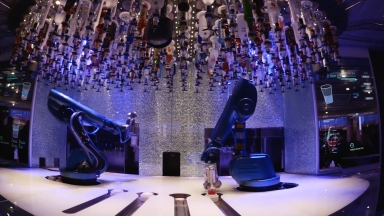 Quantum of the Seas Bionic Bar B-roll