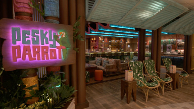 Utopia of the Seas Pesky Parrot B-roll