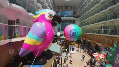 Utopia of the Seas Naming Party B-roll
