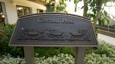 Utopia of the Seas Central Park B-roll