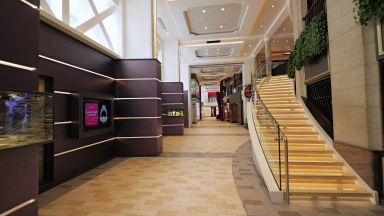 Ovation of the Seas Royal Esplanade B-roll